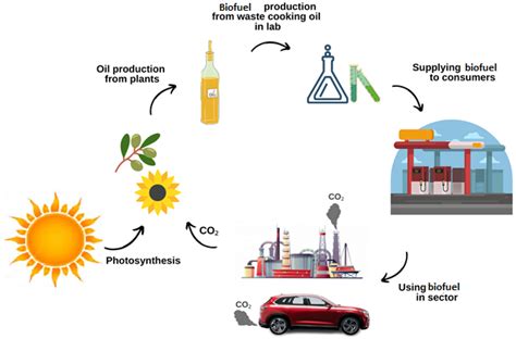  Xanthine for Advanced Biofuel Production and Sustainable Agricultural Practices!